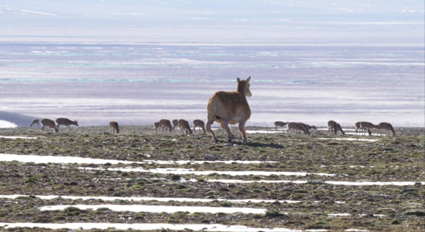 伟易博(中国区)官方网站
