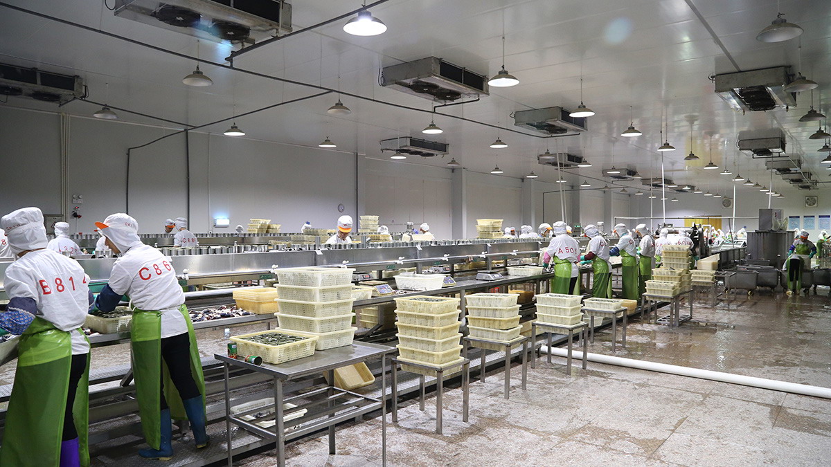 糖果派对 - 更优质的游戏运营商官网