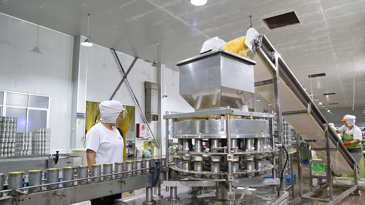 糖果派对 - 更优质的游戏运营商官网