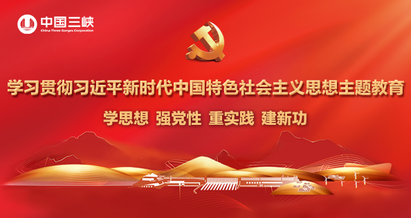 学习贯彻习近平新时代中国特色社会主义头脑主题教育