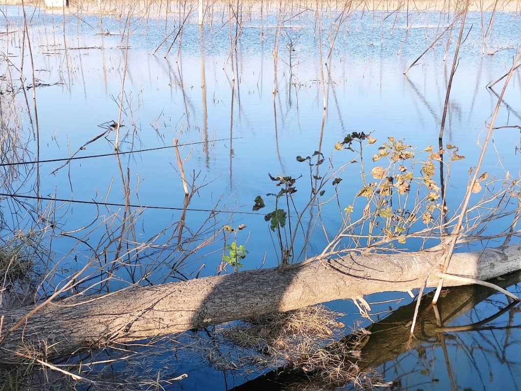 伟易博(中国区)官方网站