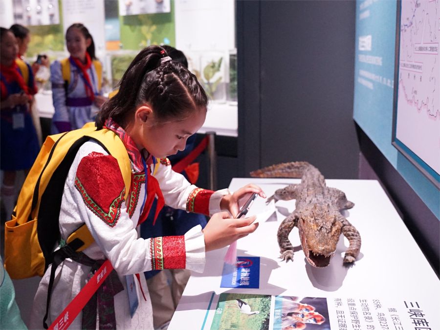 伟易博(中国区)官方网站