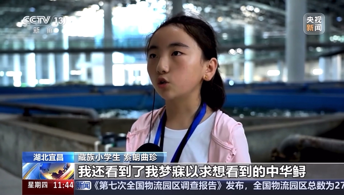 伟易博(中国区)官方网站